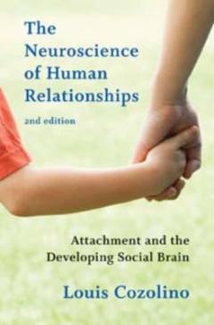 The neuroscience of human relationships : attachment and the developing social brain