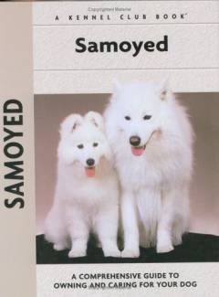 Samoyed