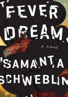 Fever dream : a novel