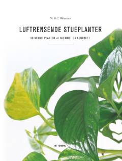 Luftrensende stueplanter : 50 nemme planter til hjemmet og kontoret