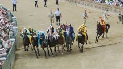 Verdens hårdeste hestevæddeløb