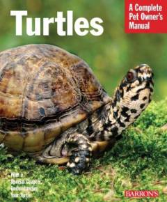 Turtles : everything about purchase, care, and nutrition