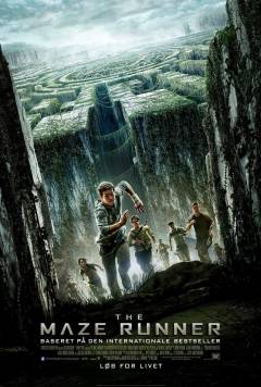 The maze runner