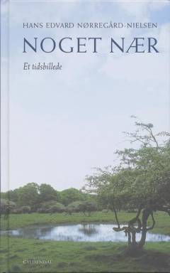 Noget nær : et tidsbillede