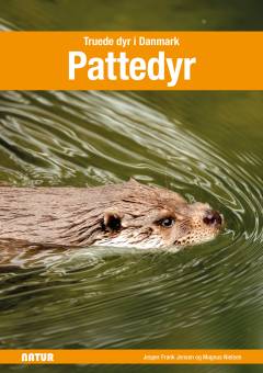 Pattedyr