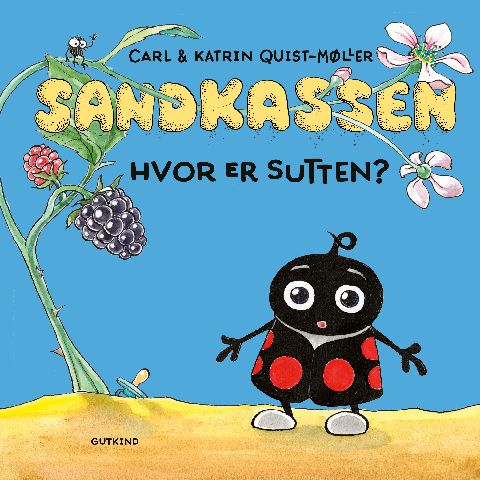 Sandkassen - hvor er sutten?