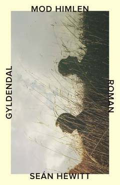 Bog, 1. udgave, 2025