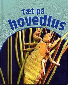 Tæt på hovedlus