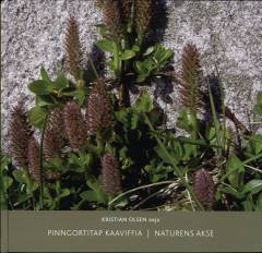 Pinngortitap kaaviffia