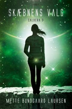 Bog, 1. udgave, 2014