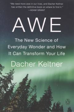 Awe : the new science of everyday wonder and how it can transform your life