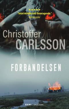 Forbandelsen : roman om en forbrydelse