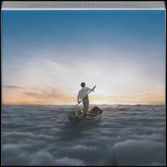 The endless river