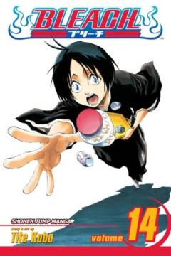 Bleach. Vol. 14 : White tower rocks