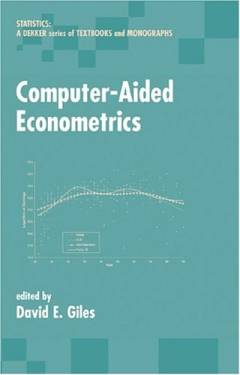 Computer-aided econometrics