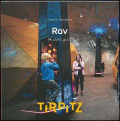Rav : havets guld