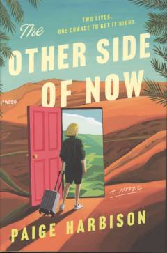 The other side of now : a novel