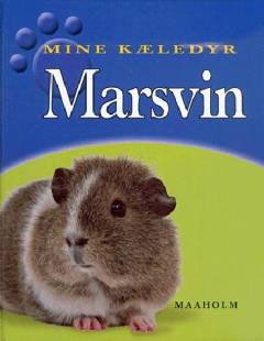 Marsvin