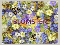 Blomster