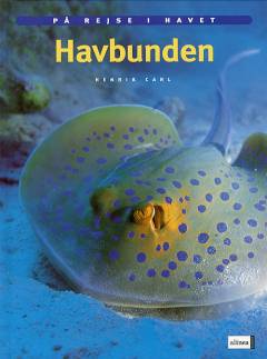 Havbunden