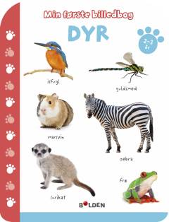 Dyr - 2-3 år