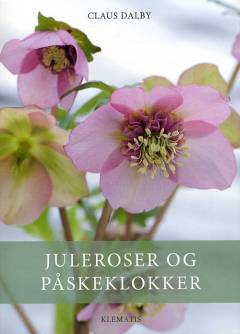 Juleroser og påskeklokker
