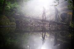 Nånting måste gå sönder