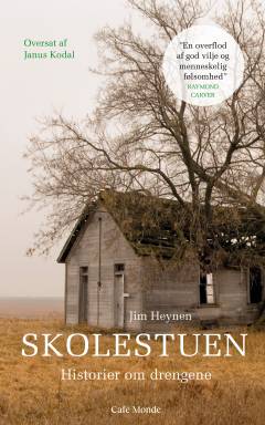 Skolestuen : historier om drengene
