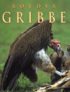 Gribbe