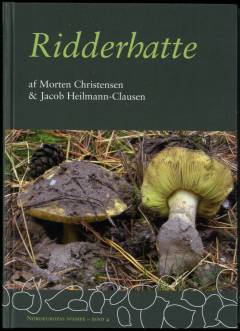 Ridderhatte