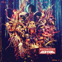 Musik (cd), Deluxe limited edition, ℗2013
