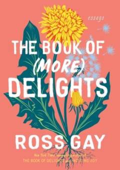 The book of (more) delights