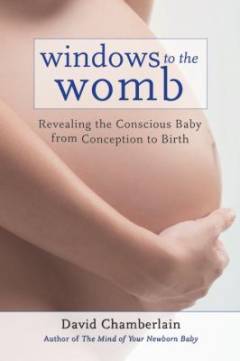 Windows to the womb : revealing the conscious baby from conception to birth