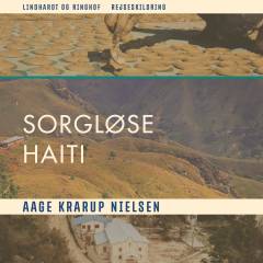 Sorte sorgløse Haiti