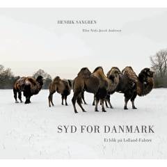 Syd for Danmark : et blik på Lolland-Falster