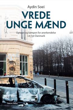 Vrede unge mænd : optøjer og kampen for anerkendelse i et nyt Danmark