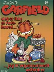 Jeg er ikke et rodehoved - jeg er organisationelt udfordret