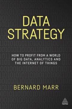 Data strategy : how to profit from a world of big data, analytics and the internet of things