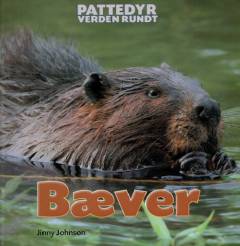 Bæver