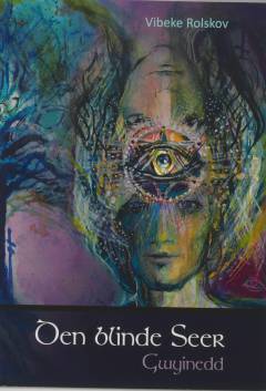 Den blinde seer : Gwyinedd