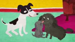 Min lille hund Mester. 10 : Dagens helt