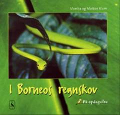 I Borneos regnskov