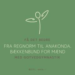 Fra regnorm til anakonda - bækkenbund for mænd