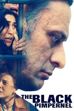 Film (dvd), 2008