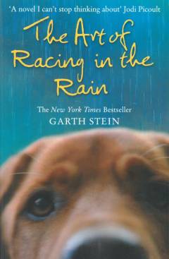 The art of racing in the rain : a novel
