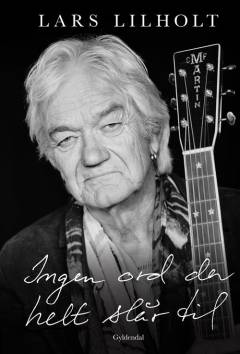 Ingen ord der helt slår til : fortællinger fra sangenes tid