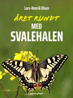 Året rundt - med svalehalen