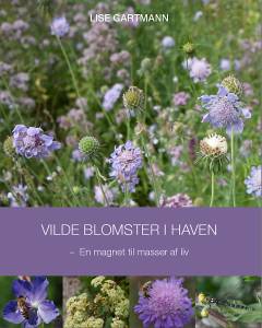 Vilde blomster i haven : en magnet til masser af liv