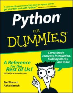 Python for dummies