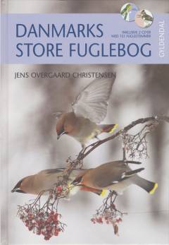 Bog, 1. udgave, 2004